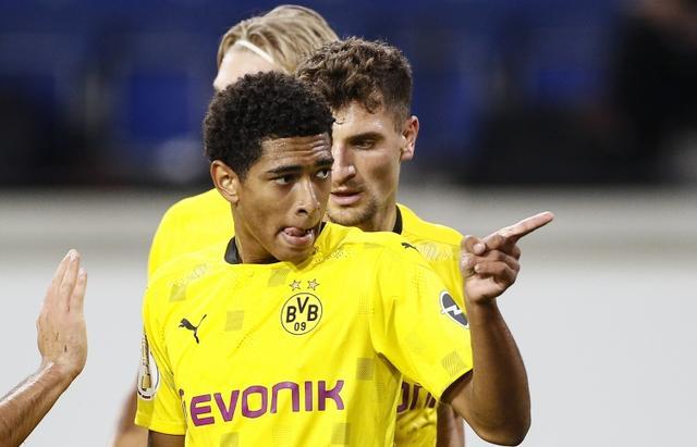 和丰富的培 和丰富的培