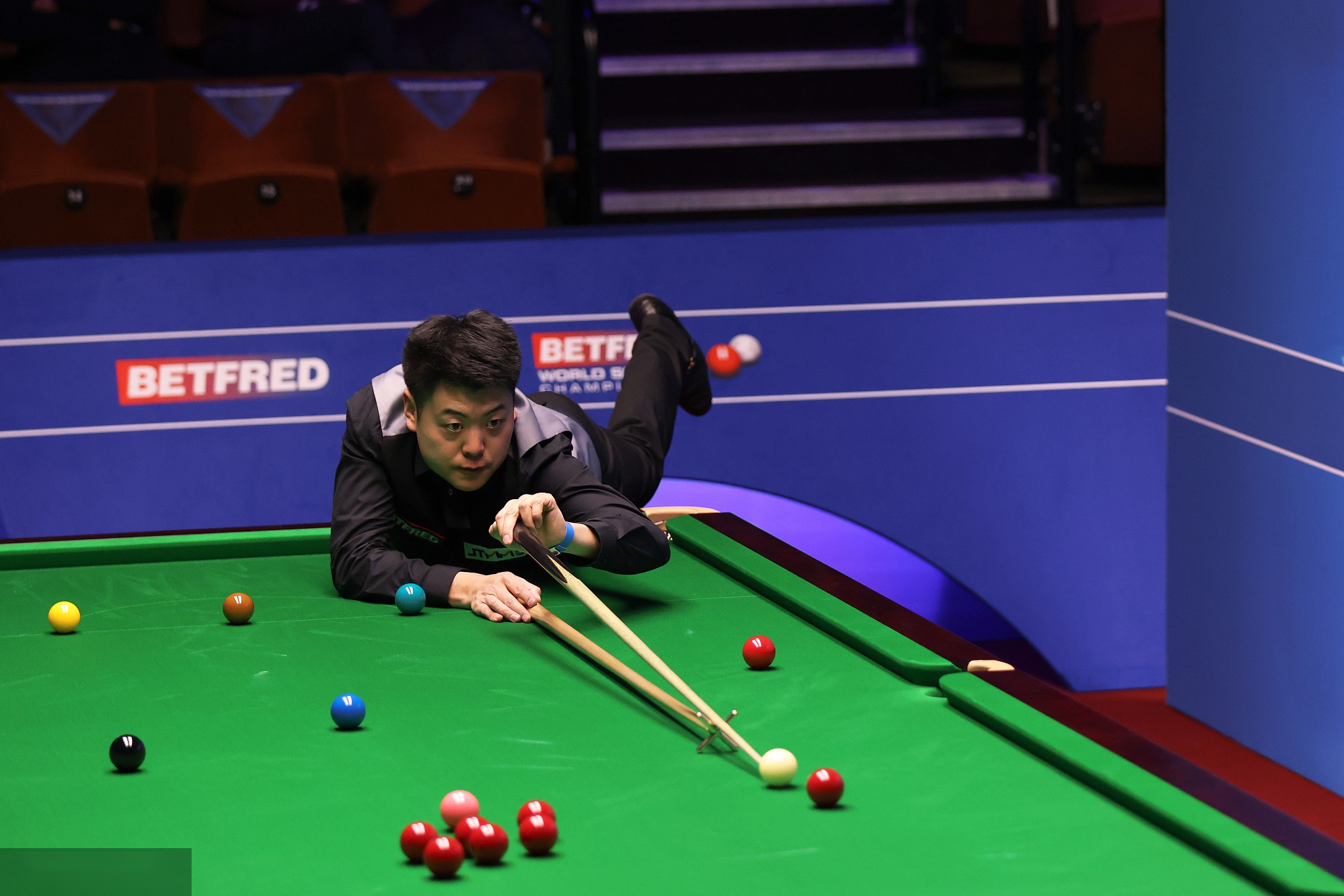 帕利尼亚不 帕利尼亚不