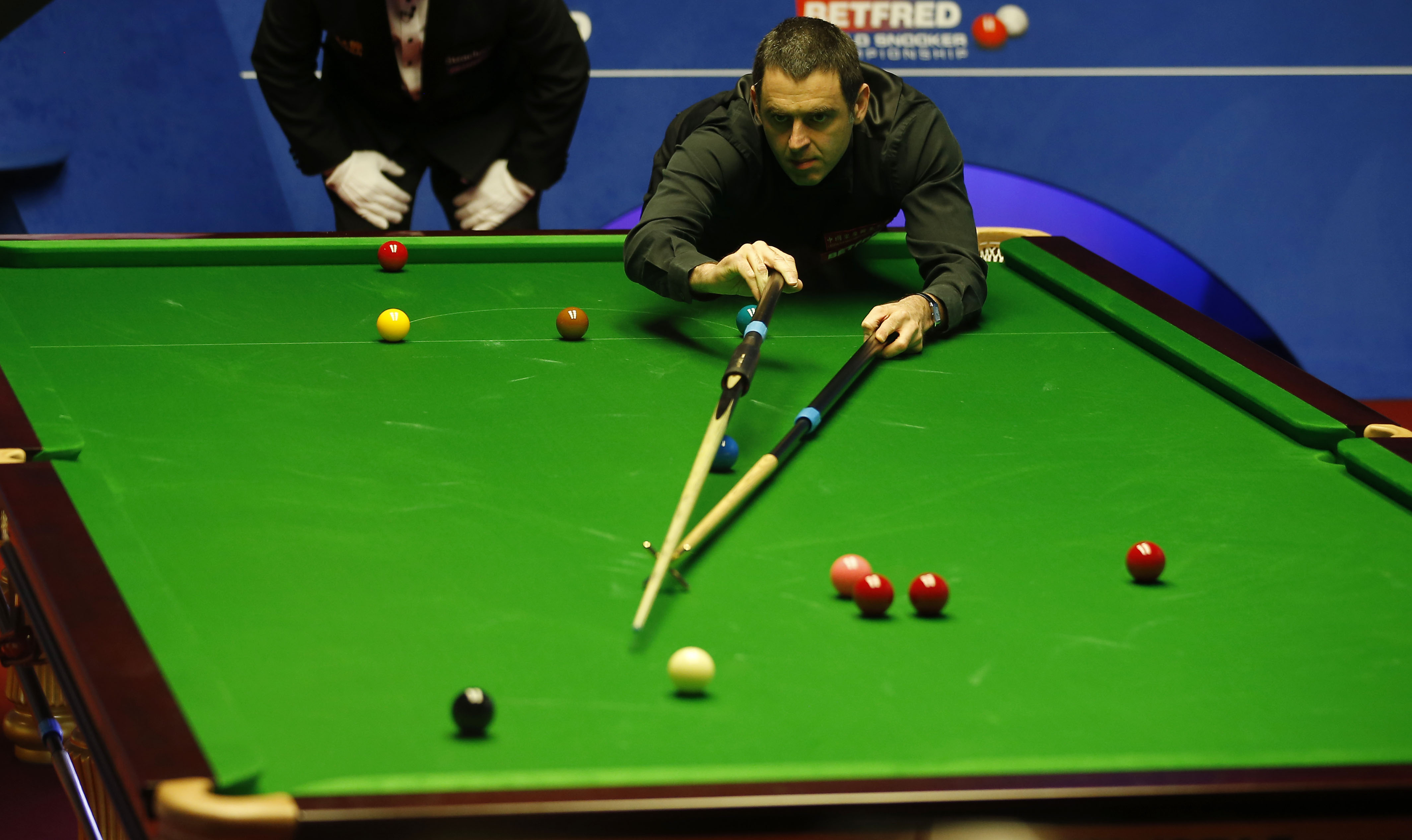 跟注倾向 跟注倾向